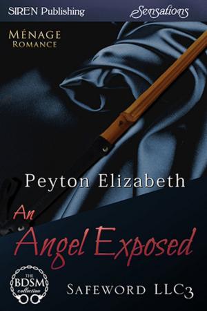 Cover of the book An Angel Exposed by Fel Fern