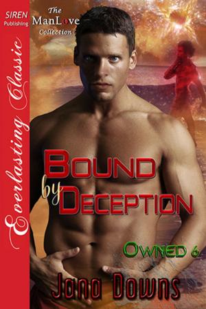 Cover of the book Bound by Deception by Lynn Hagen, Stormy Glenn