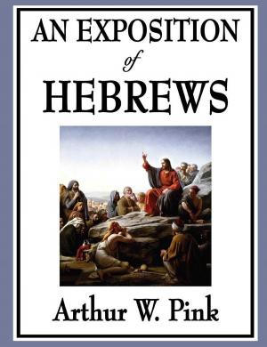 Cover of the book An Exposition of Hebrews by William Shakespeare