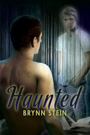Cover of the book Haunted by KC Burn