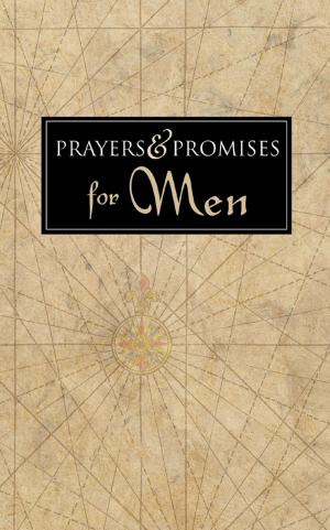 Cover of the book Prayers and Promises for Men by Bekah Jane Pogue