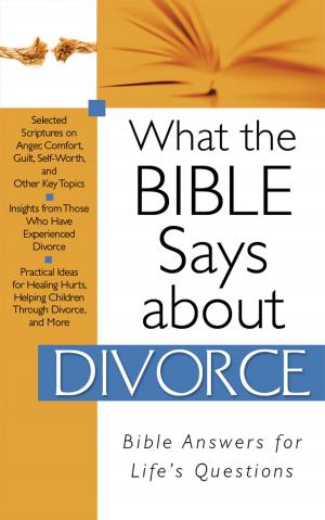 Cover of the book What The Bible Says About Divorce by Wanda E. Brunstetter, Jean Brunstetter, Richelle Brunstetter