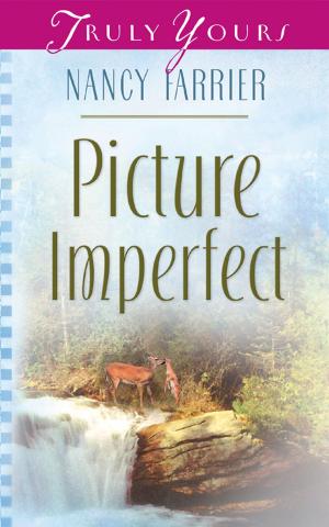 Cover of the book Picture Imperfect by Wanda E. Brunstetter