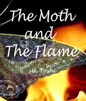 Book cover of The Moth and The Flame