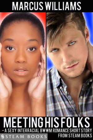 Cover of the book Meeting His Folks - A Sexy Interracial BWWM Romance Short Story from Steam Books by Tyra Vaughn, Steam Books