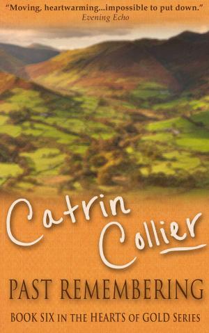 Cover of the book Past Remembering by Catrin Collier