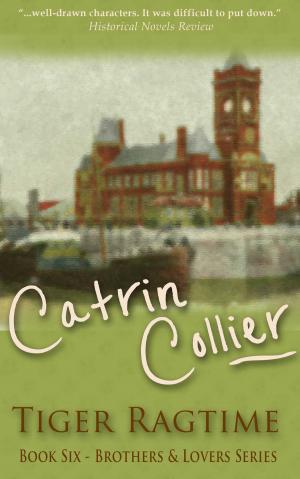 Cover of the book Tiger Ragtime by Catrin Collier