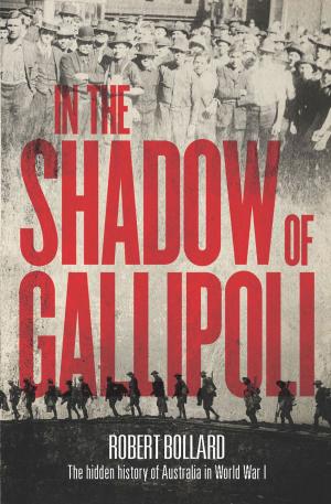 Cover of the book In the Shadow of Gallipoli by 