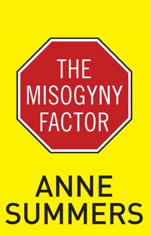 Cover of the book The Misogyny Factor by David Whish-Wilson