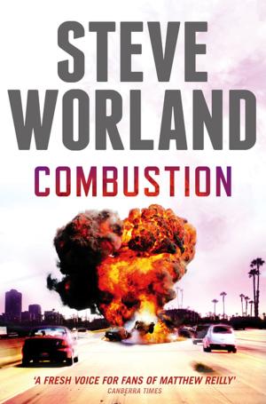 Cover of the book Combustion by David Metzenthen