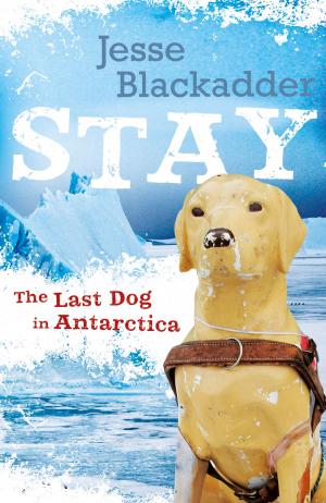 Cover of the book Stay by G Whateley