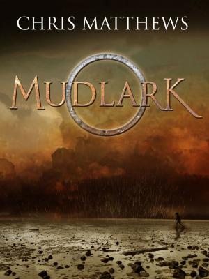 Cover of the book Mudlark by JR Carroll