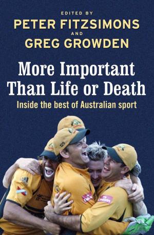 Cover of the book More Important than Life or Death by David Greagg, illustrated by Binny Hobbs