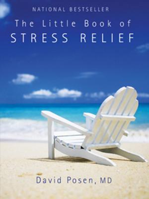 Cover of the book The Little Book of Stress Relief by Patty Morell Bilhartz