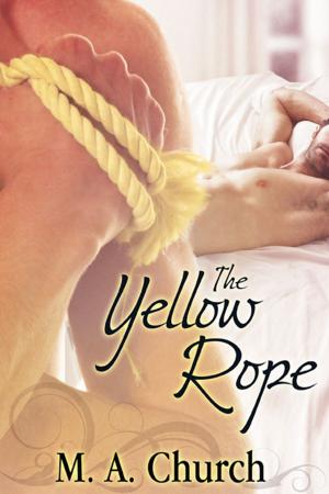 Cover of the book The Yellow Rope by A.J. Llewellyn