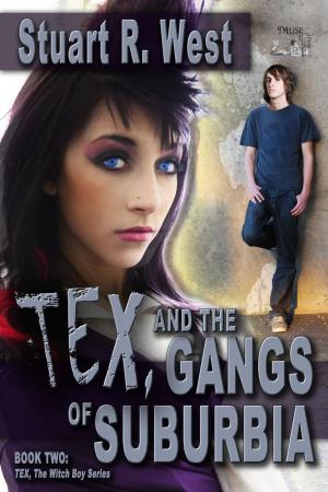 Cover of the book Tex And The Gangs Of Suburbia by Charity Tahmaseb