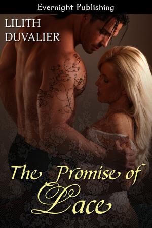 Cover of the book The Promise of Lace by Megan Morgan