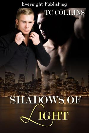 Cover of the book Shadows of Light by Kait Gamble