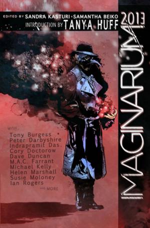 Book cover of Imaginarium 2013