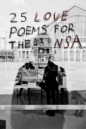 Cover of the book 25 Love Poems for the NSA by Molly Ringle