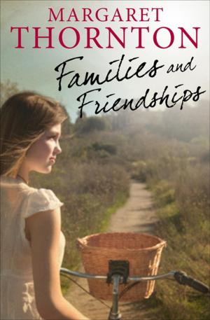 Book cover of Families and Friendships