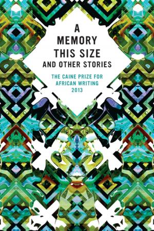 Cover of the book The Caine Prize for African Writing 2013 by Sally Blundell