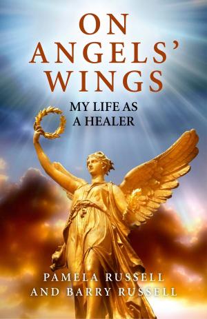 Cover of the book On Angels' Wings by D. Joseph Jacques