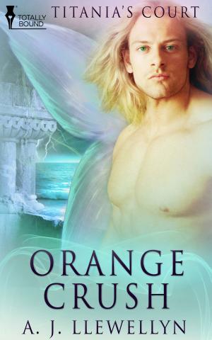 Cover of the book Orange Crush by Bailey Bradford
