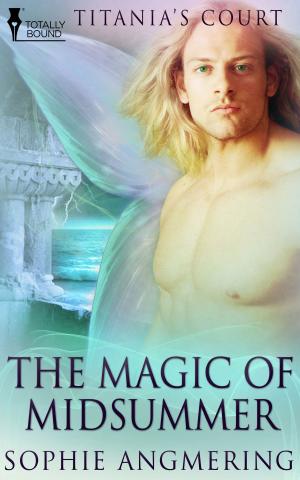 Cover of the book The Magic of Midsummer by Nichelle Gregory