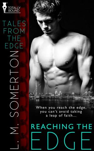 Cover of the book Reaching the Edge by Angel Martinez