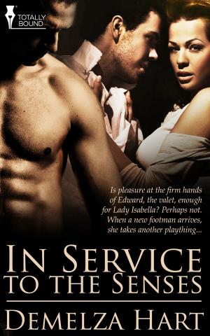 Cover of the book In Service to the Senses by Bailey Bradford