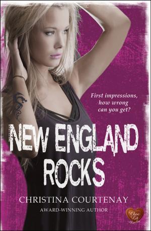Cover of the book New England Rocks by Sarah Tranter