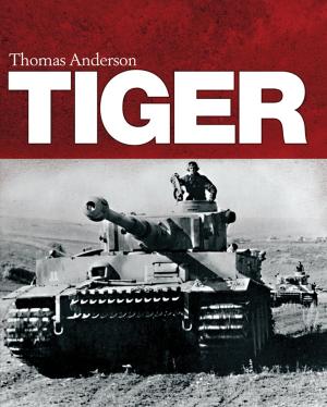 Cover of the book Tiger by Courtney Sheinmel