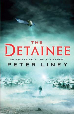 bigCover of the book The Detainee by 