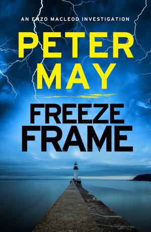 Cover of the book Freeze Frame by Elizabeth Gill