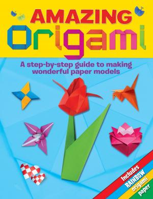 Cover of the book Amazing Origami by Tony Husband
