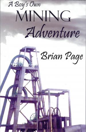 Cover of the book A Boys Own Mining Adventure by Robin Lloyd-Jones