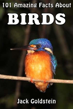 Book cover of 101 Amazing Facts About Birds