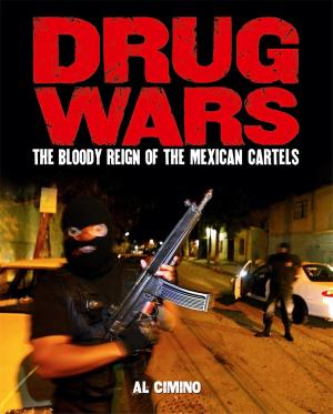 Cover of the book Drug Wars by John Marlowe