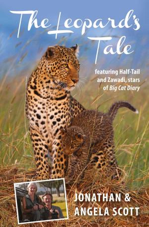 Cover of the book The Leopard's Tale: featuring Half-Tail and Zawadi, stars of Big Cat Diary by Michael Buckley