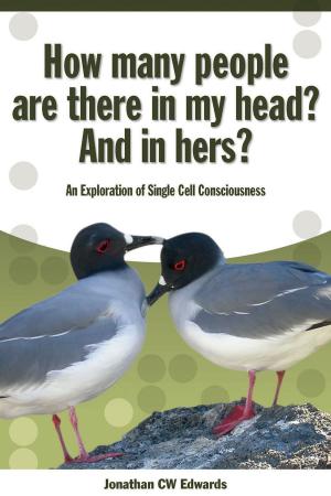 Cover of the book How Many People Are There In My Head? And In Hers? by Peter Broadbent