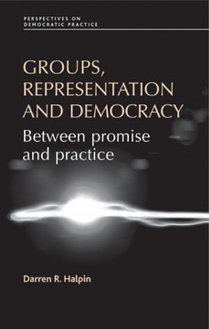 Cover of the book Groups, representation and democracy by John Privilege
