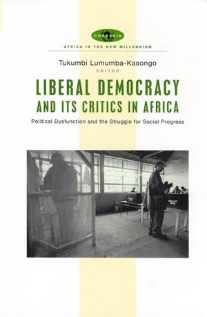 Cover of the book Liberal Democracy and Its Critics in Africa by Paul Holden