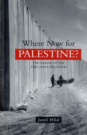 Cover of the book Where Now for Palestine? by Christopher Favrot Arndt