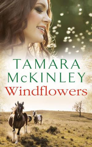 Cover of the book Windflowers by Tom Pollock