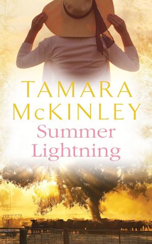 Cover of the book Summer Lightning by Brian Freeman