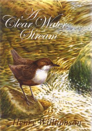 Cover of the book A Clear Water Stream by Richard Williamson