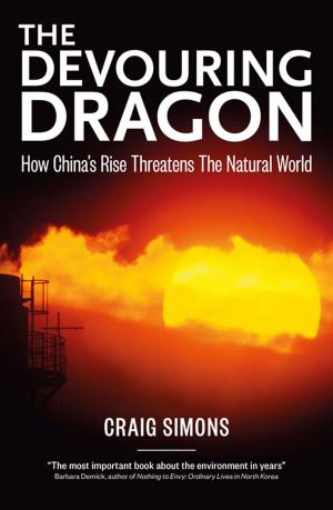 Cover of the book The Devouring Dragon by Steve Braunias
