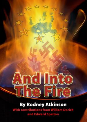 Book cover of And Into The Fire