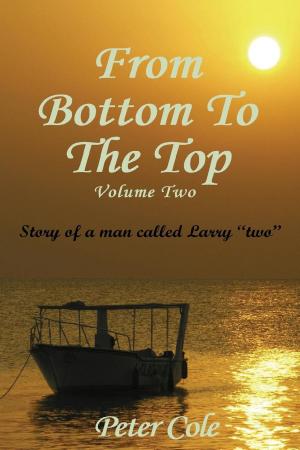 Cover of the book From Bottom To The Top Volume Two by J.C. Kurtis